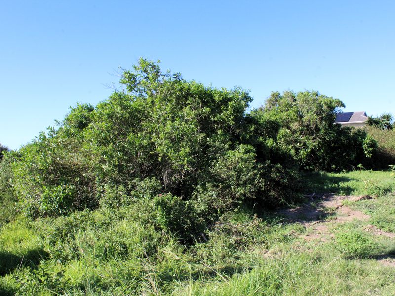 Vacant Stand for sale in Forest Downs South, Port Alfred - Photo 7