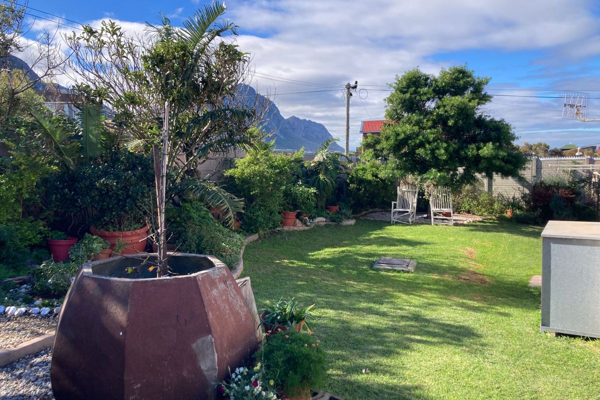 Spacious, Sunny & Beautifully Maintained - Photo 3