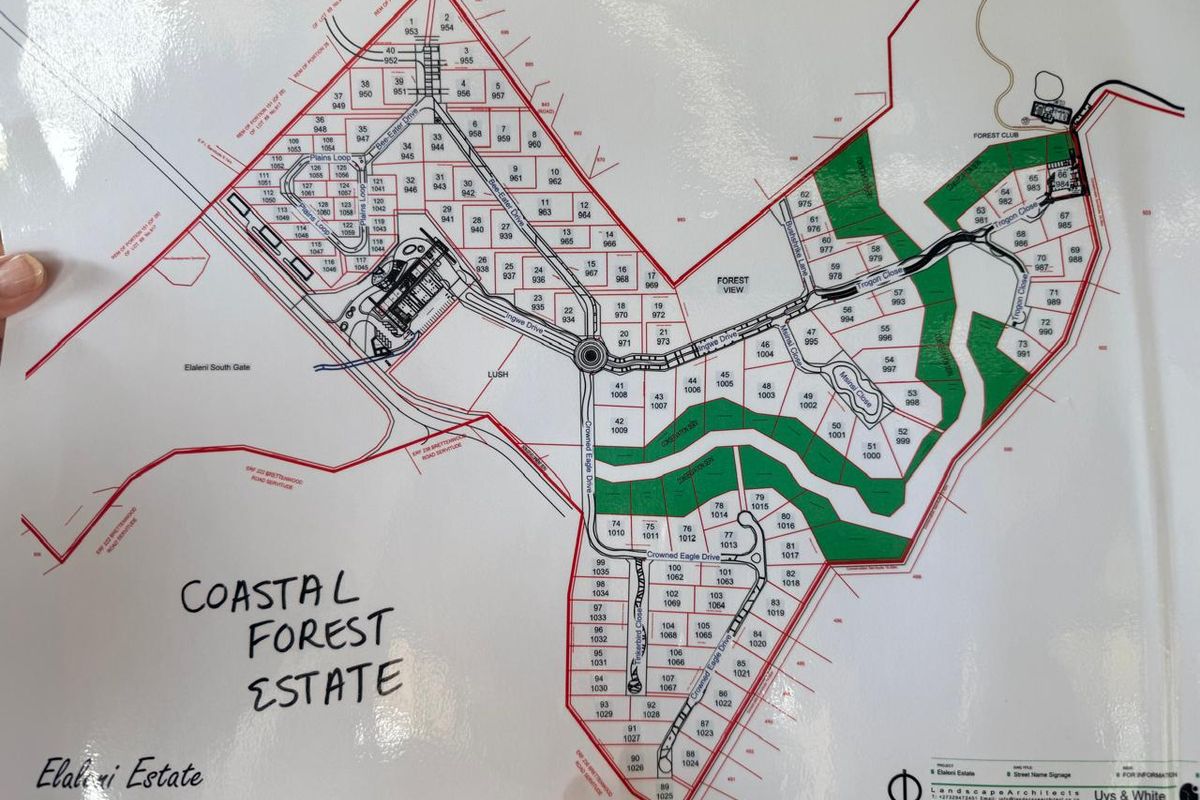 Expansive Coastal Stand on Crowned Eagle Drive in Elaleni Coastal Forest Estate - Photo 4