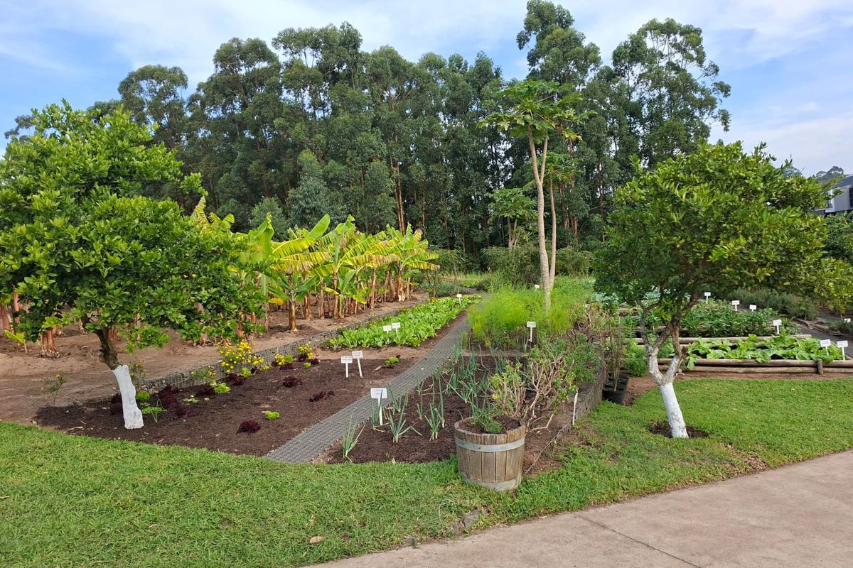 Expansive Coastal Stand on Crowned Eagle Drive in Elaleni Coastal Forest Estate - Photo 5