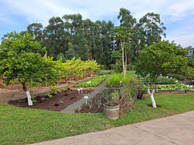 Expansive Coastal Stand on Crowned Eagle Drive in Elaleni Coastal Forest Estate - Photo 5