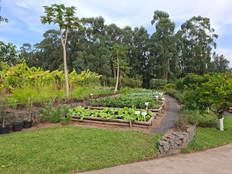 Prime Forest Estate Living on Crowned Eagle Drive - Photo 4