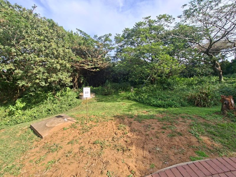 Prime Forest Estate Living on Crowned Eagle Drive - Photo 1