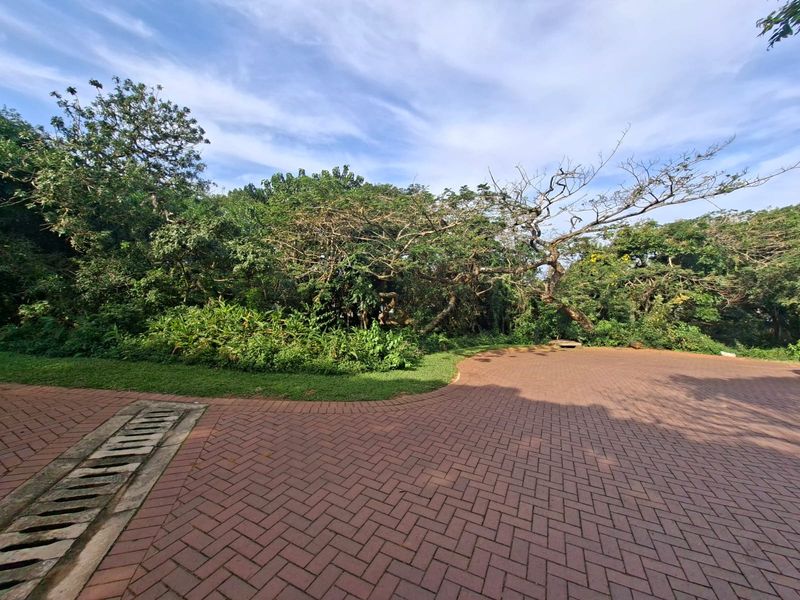 Prime Forest Estate Living on Crowned Eagle Drive - Photo 10