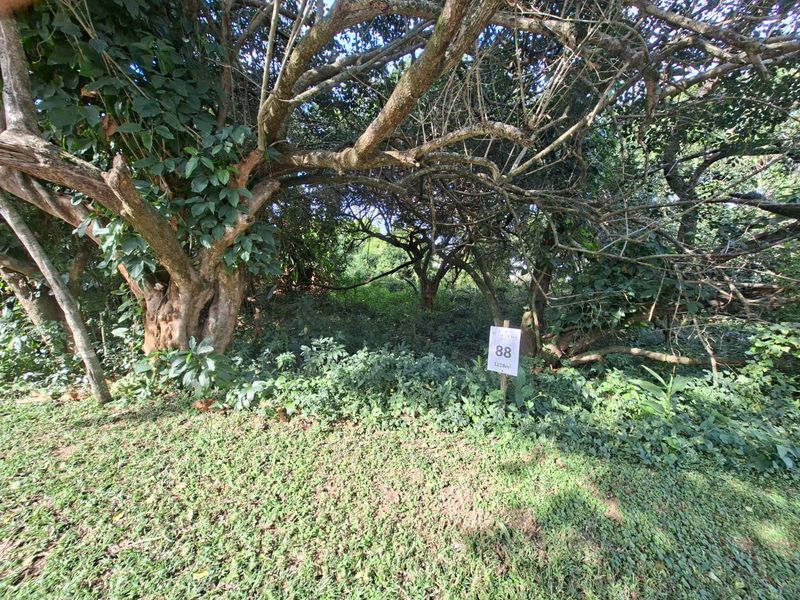 Create Your Coastal Forest Escape in Elaleni Coastal Forest Estate - Photo 1