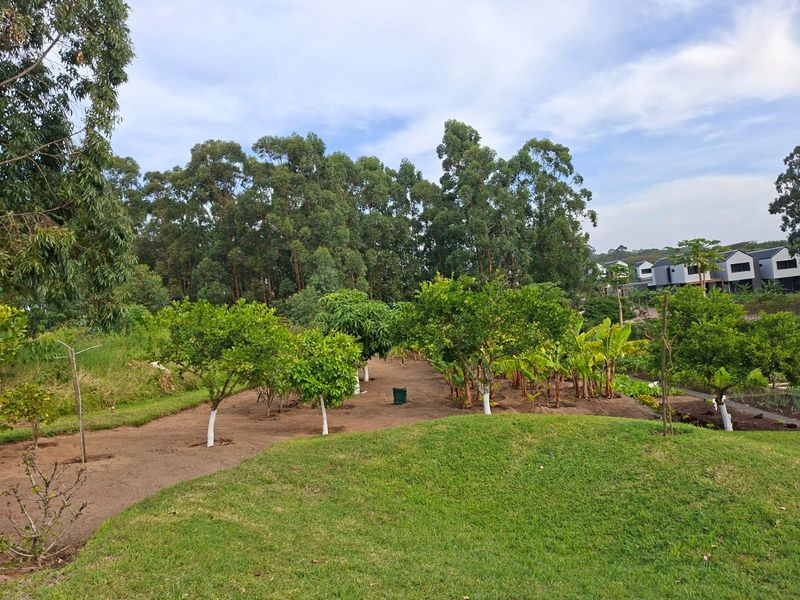 Create Your Coastal Forest Escape in Elaleni Coastal Forest Estate - Photo 6