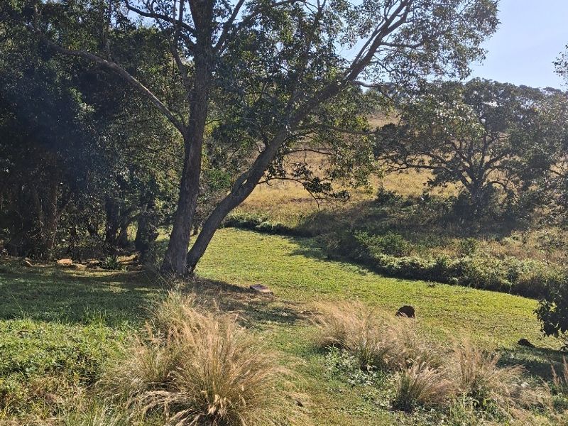 Just a stone's throw from centre of Waterfall - Photo 6