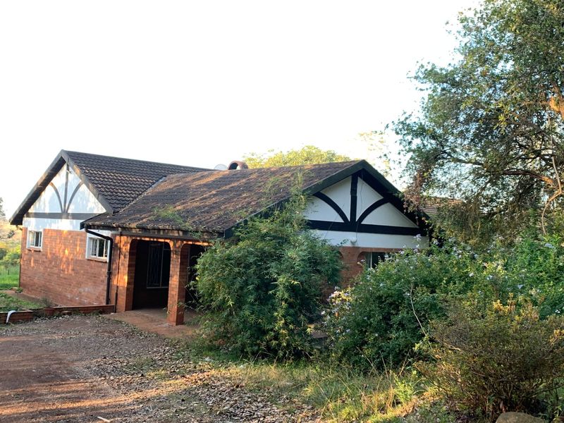 Front view of a single-story brick house featuring a covered porch and distinctive timber-style gable detailing, set within a natural, leafy environment.