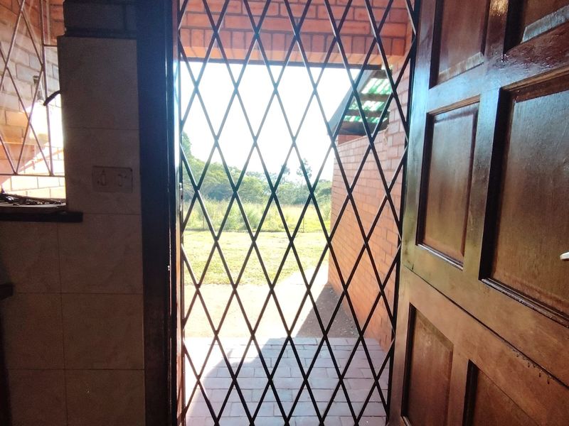 An entryway featuring a timber door and a metal security gate, opening out to a paved patio area and garden.