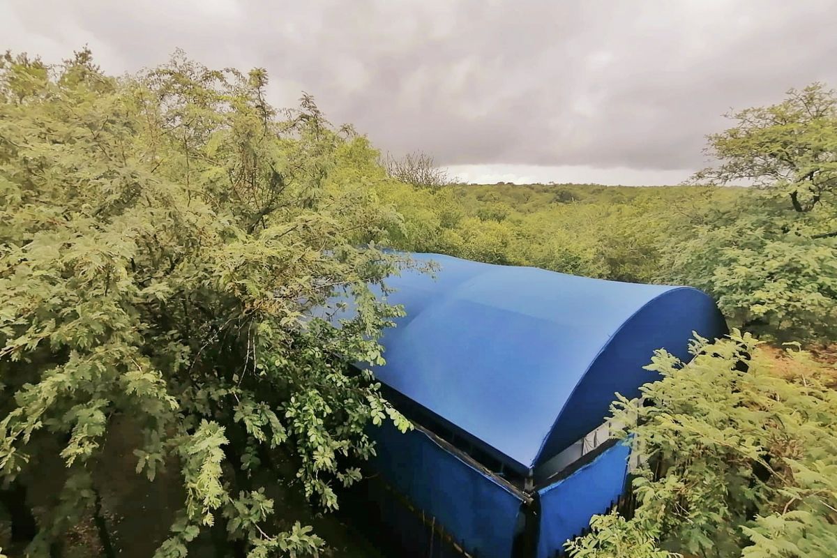 An aerial view of a property featuring a blue tensile fabric roof structure surrounded by dense green trees and natural vegetation.