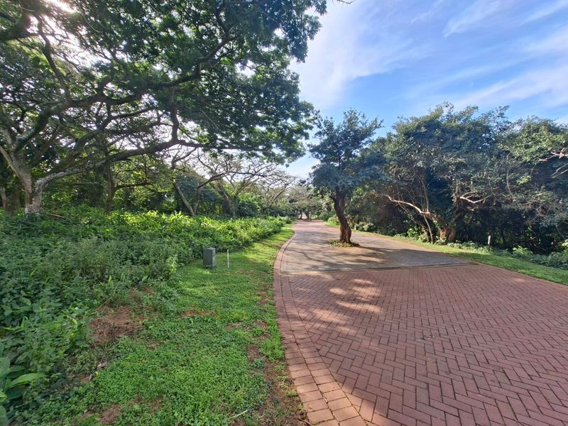 Embrace Nature-Inspired Living in Elaleni Coastal Forest Estate - Photo 1