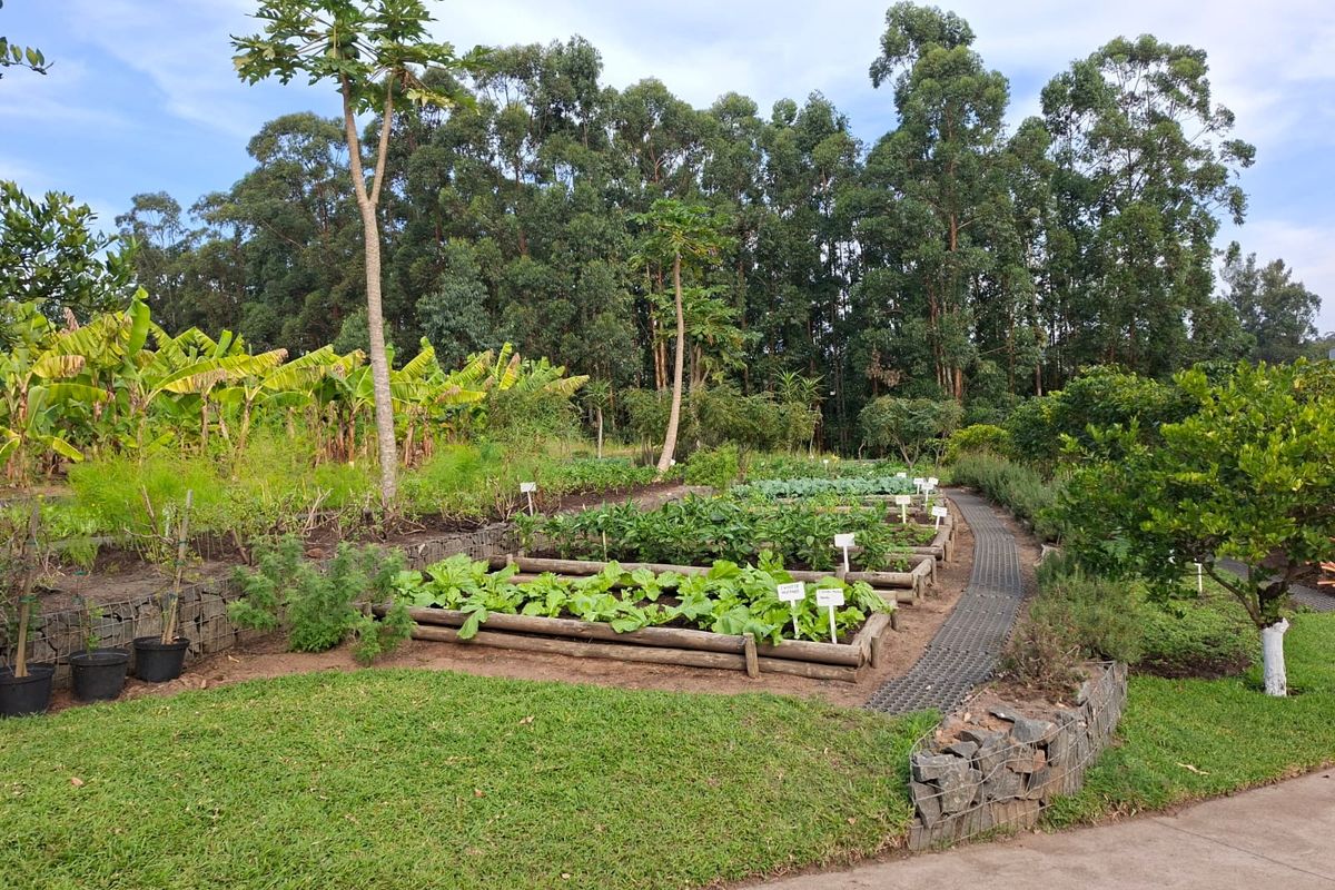Embrace Nature-Inspired Living in Elaleni Coastal Forest Estate - Photo 5