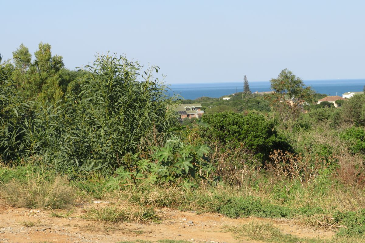 Beautiful Ocean View Plot in Forest Downs North, Port Alfred - Photo 5