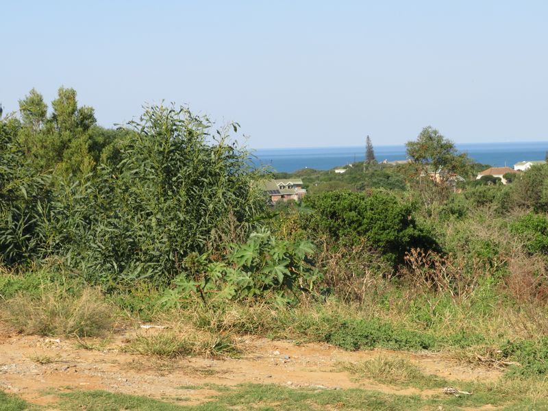 Beautiful Ocean View Plot in Forest Downs North, Port Alfred - Photo 5