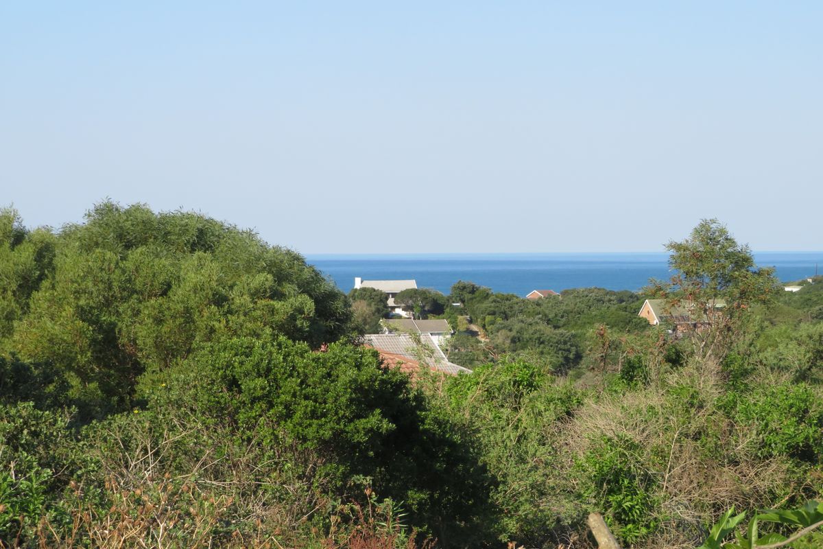 Beautiful Ocean View Plot in Forest Downs North, Port Alfred - Photo 2