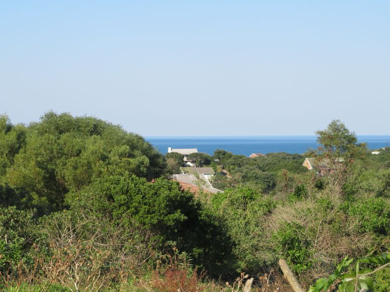 Beautiful Ocean View Plot in Forest Downs North, Port Alfred - Photo 2
