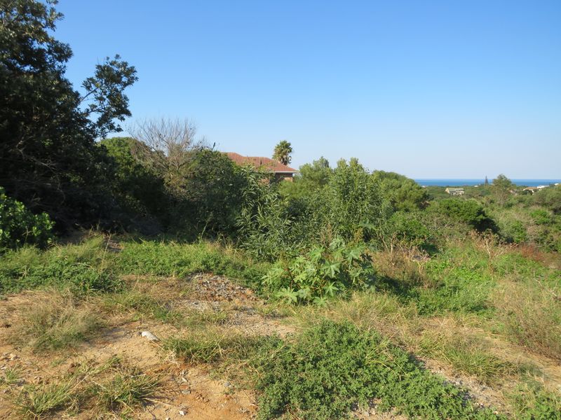 Beautiful Ocean View Plot in Forest Downs North, Port Alfred - Photo 10