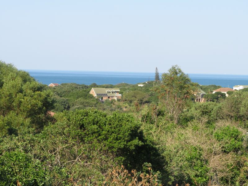 Beautiful Ocean View Plot in Forest Downs North, Port Alfred - Photo 9