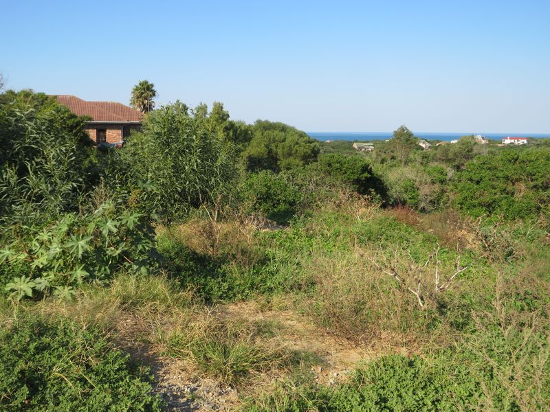 Beautiful Ocean View Plot in Forest Downs North, Port Alfred - Photo 8