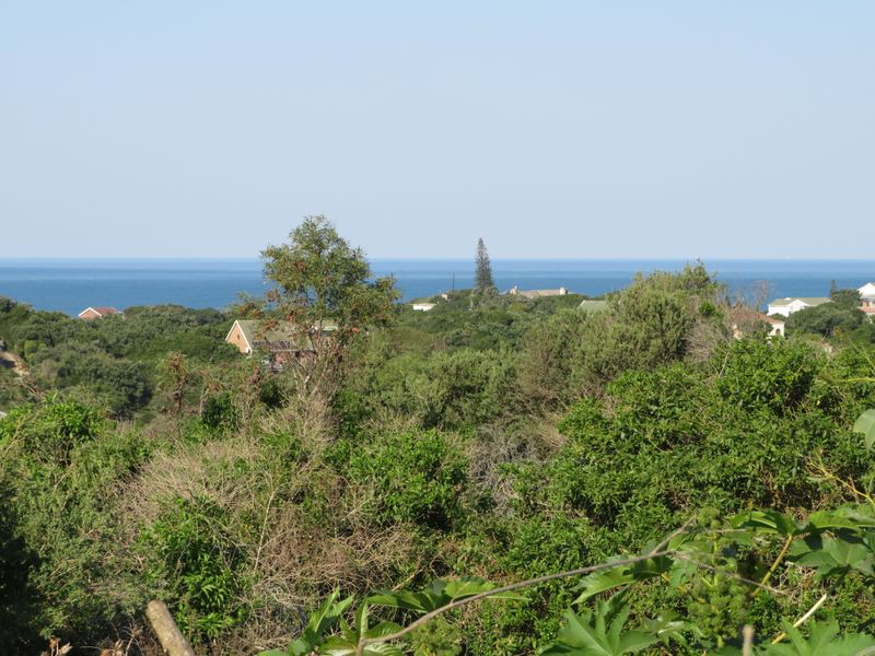 Beautiful Ocean View Plot in Forest Downs North, Port Alfred - Photo 1