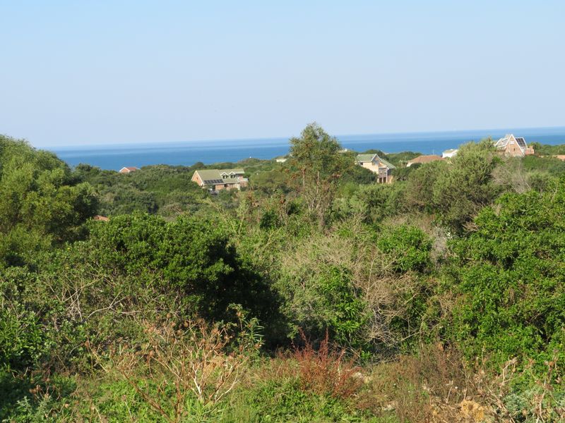 Beautiful Ocean View Plot in Forest Downs North, Port Alfred - Photo 7
