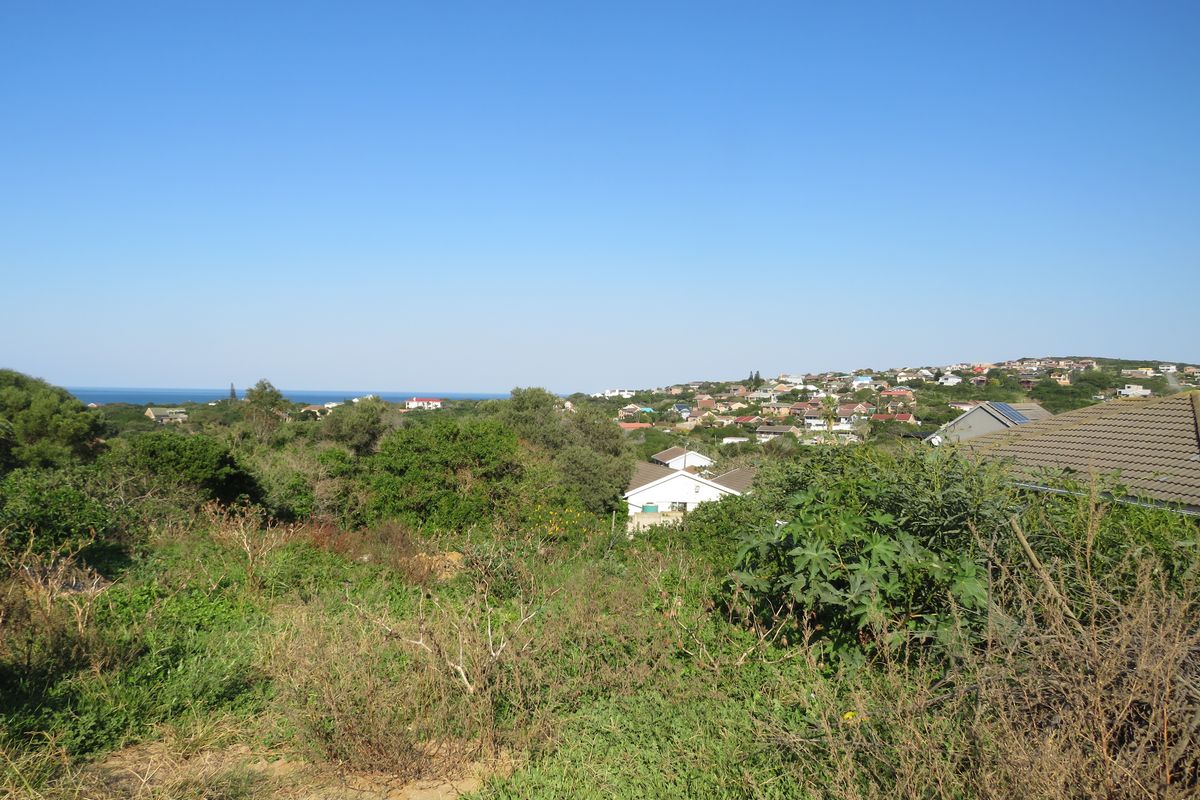 Beautiful Ocean View Plot in Forest Downs North, Port Alfred - Photo 3