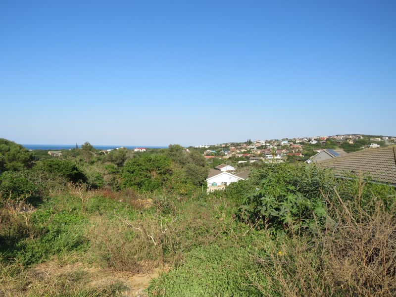 Beautiful Ocean View Plot in Forest Downs North, Port Alfred - Photo 3
