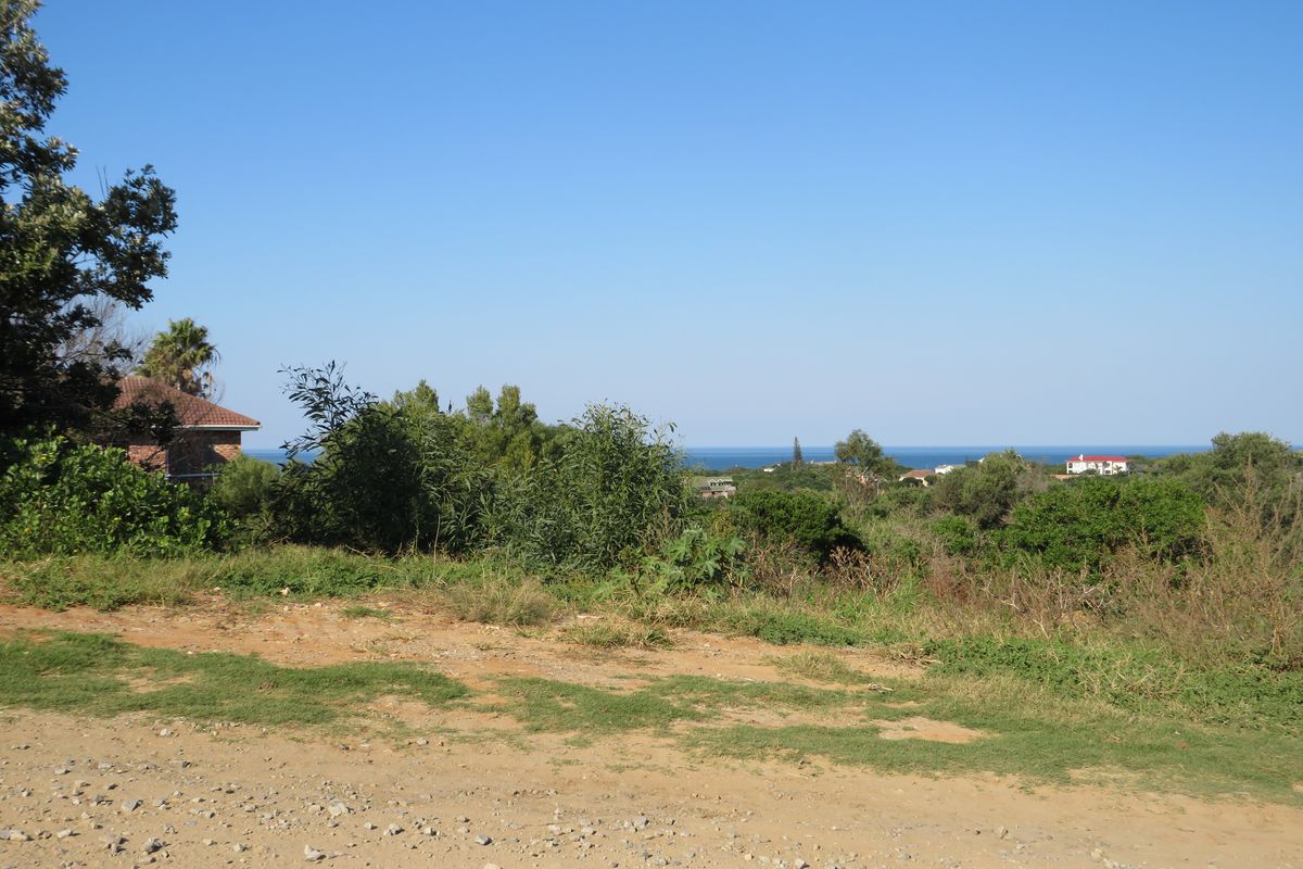 Beautiful Ocean View Plot in Forest Downs North, Port Alfred - Photo 4
