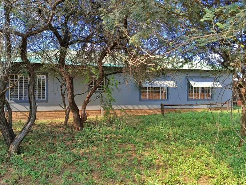Walking Distance to the River! - Photo 4