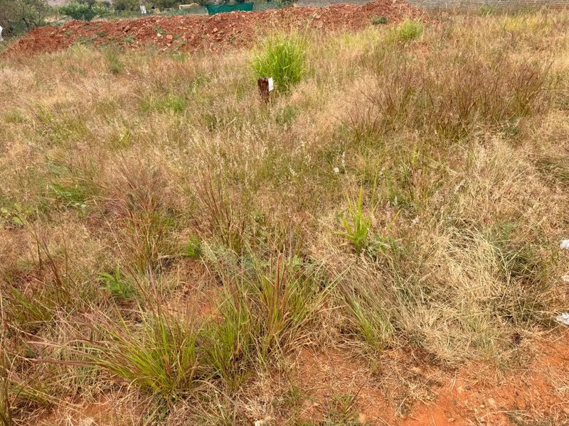 Discover your dream project on this 950m2 vacant land for sale in Schoonezigt - Photo 8