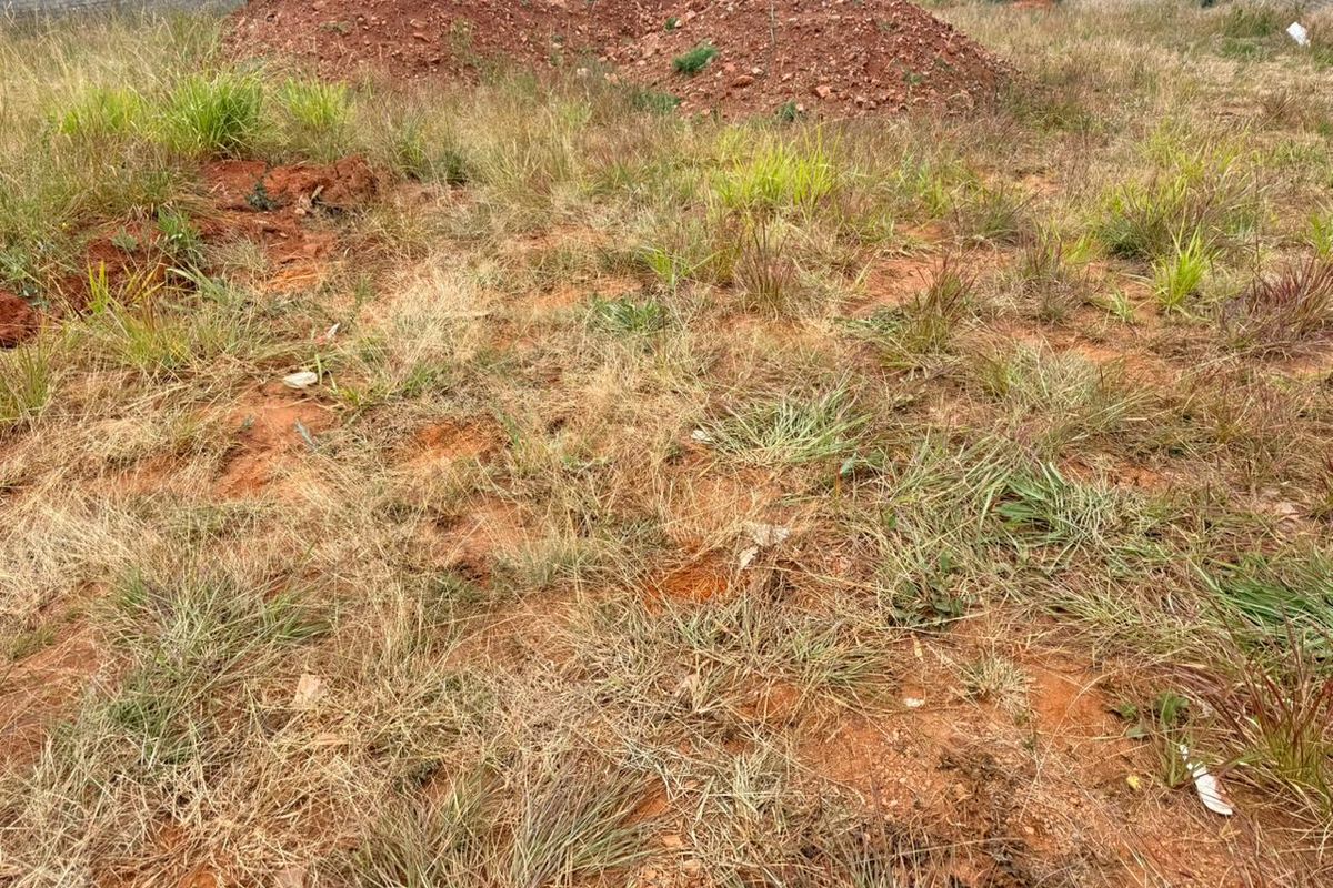 Discover your dream project on this 950m2 vacant land for sale in Schoonezigt - Photo 4