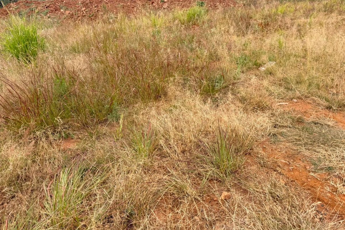 Discover your dream project on this 950m2 vacant land for sale in Schoonezigt - Photo 2