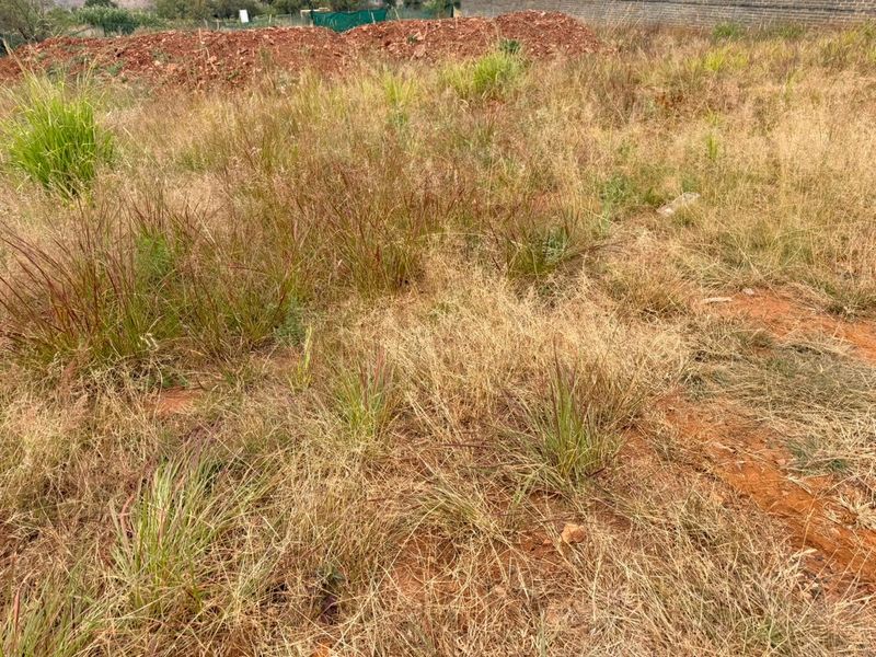 Discover your dream project on this 950m2 vacant land for sale in Schoonezigt - Photo 2