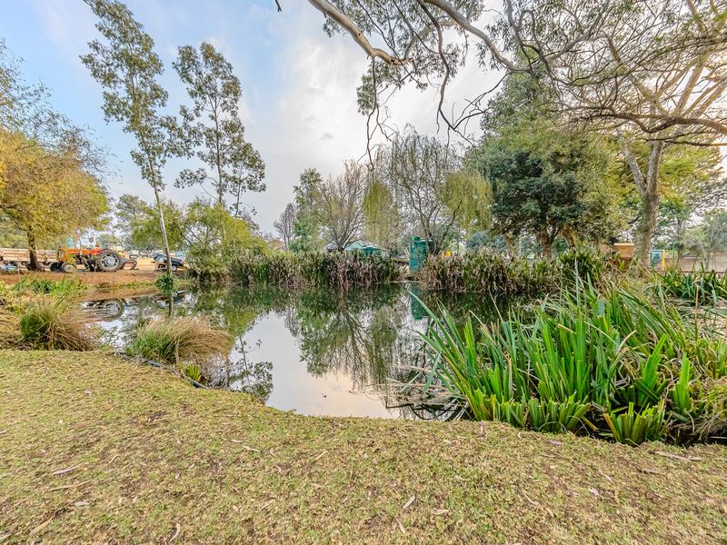 Charming 4-Bedroom Farm For Sale In Loumarina AH, Randfontein—Your Countryside Retreat Awaits! - Photo 10
