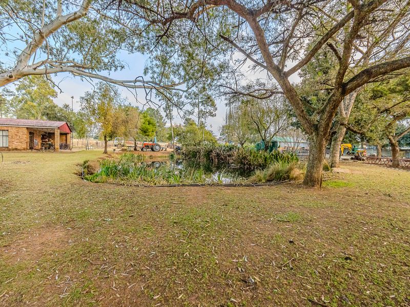 Charming 4-Bedroom Farm For Sale In Loumarina AH, Randfontein—Your Countryside Retreat Awaits! - Photo 9