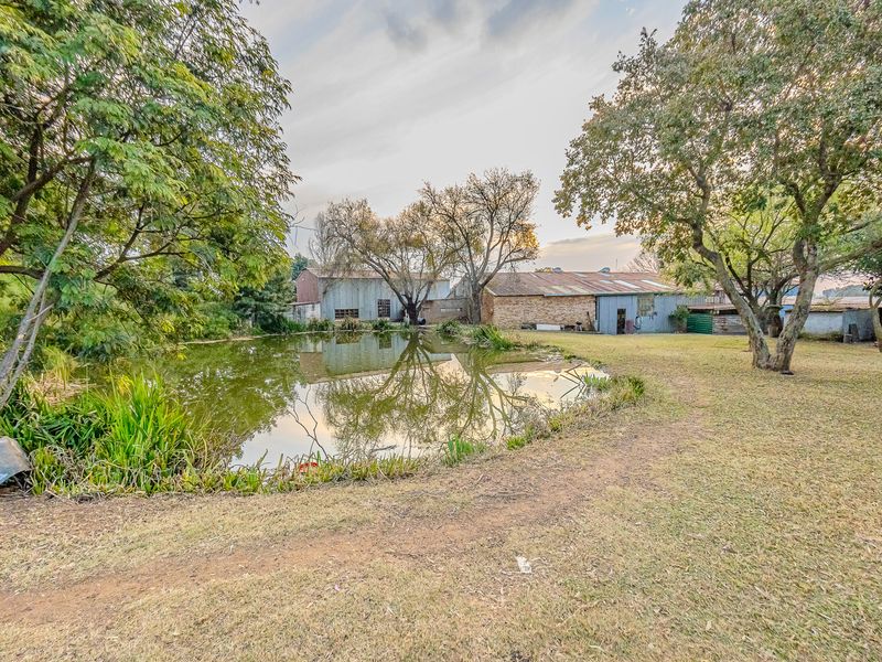 Charming 4-Bedroom Farm For Sale In Loumarina AH, Randfontein—Your Countryside Retreat Awaits! - Photo 6
