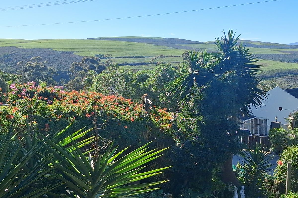 Character, charm, uninterruptable views, good address - Photo 3