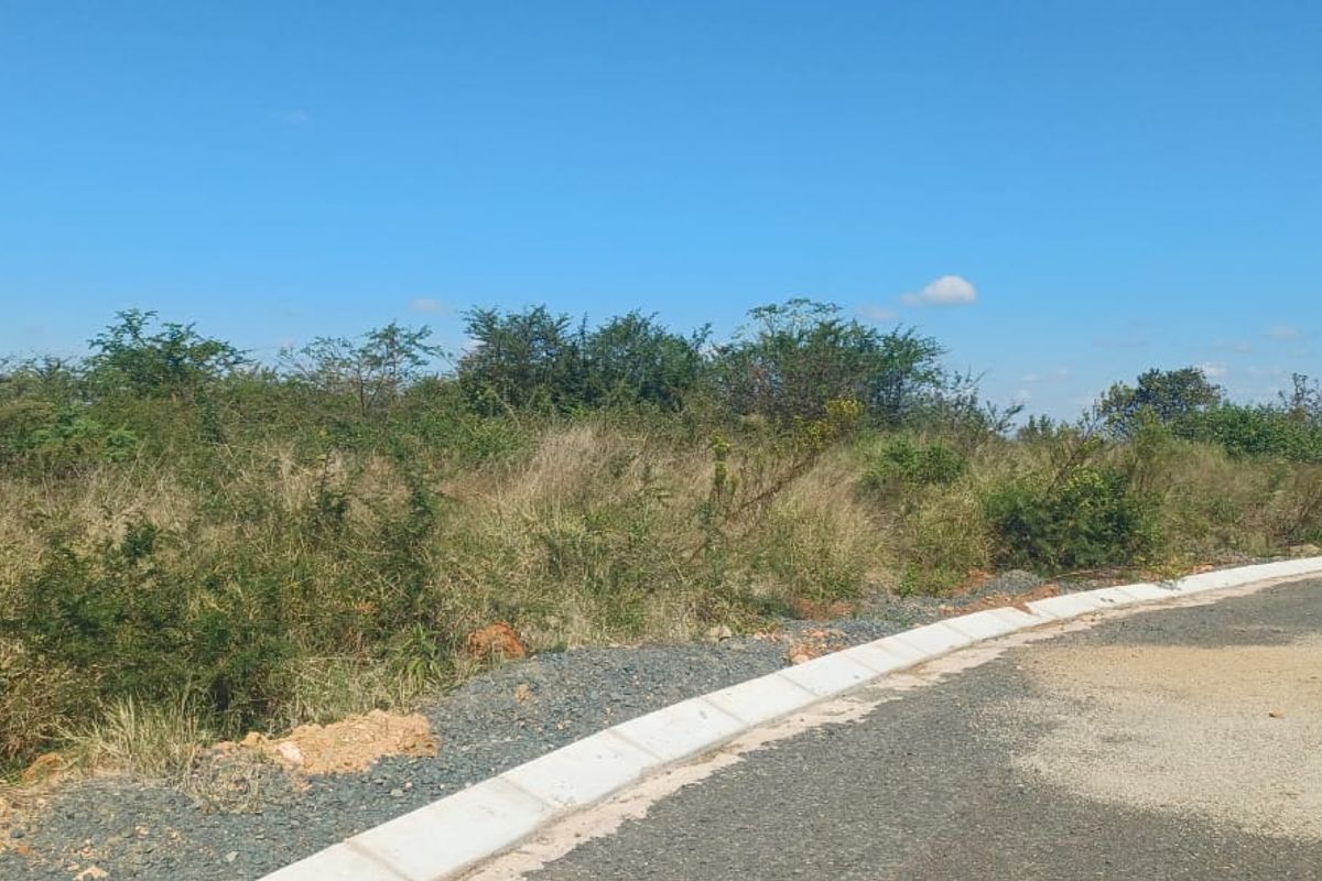 Vacant Stand For Sale in old town, Louis Trichardt - Photo 3