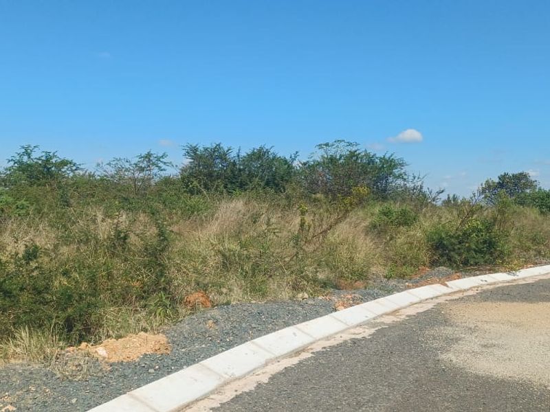 Vacant Stand For Sale in old town, Louis Trichardt - Photo 3