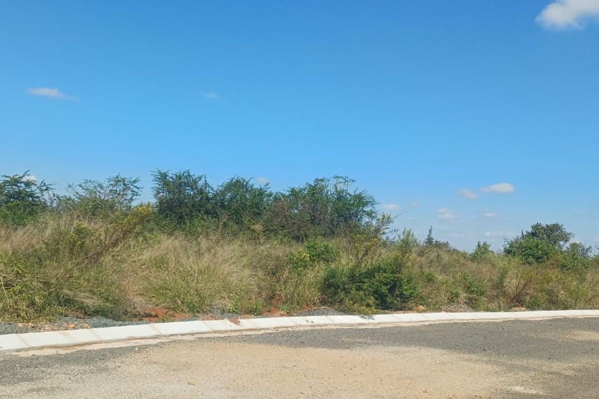 Vacant Stand For Sale in old town, Louis Trichardt - Photo 2