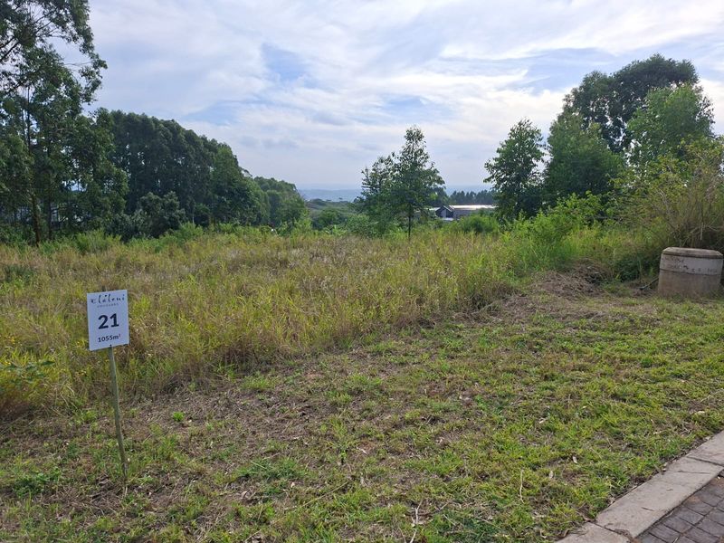 Last Remaining Opportunity in The Orchards at Elaleni Coastal Forest Estate - Photo 3