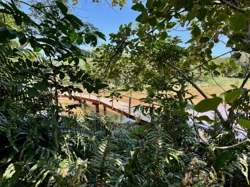 Last Remaining Opportunity in The Orchards at Elaleni Coastal Forest Estate - Photo 9