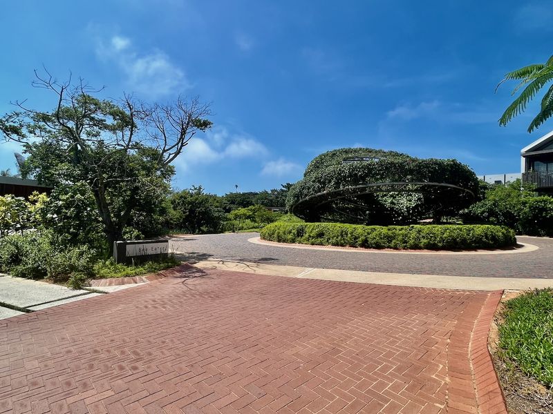 Last Remaining Opportunity in The Orchards at Elaleni Coastal Forest Estate - Photo 6