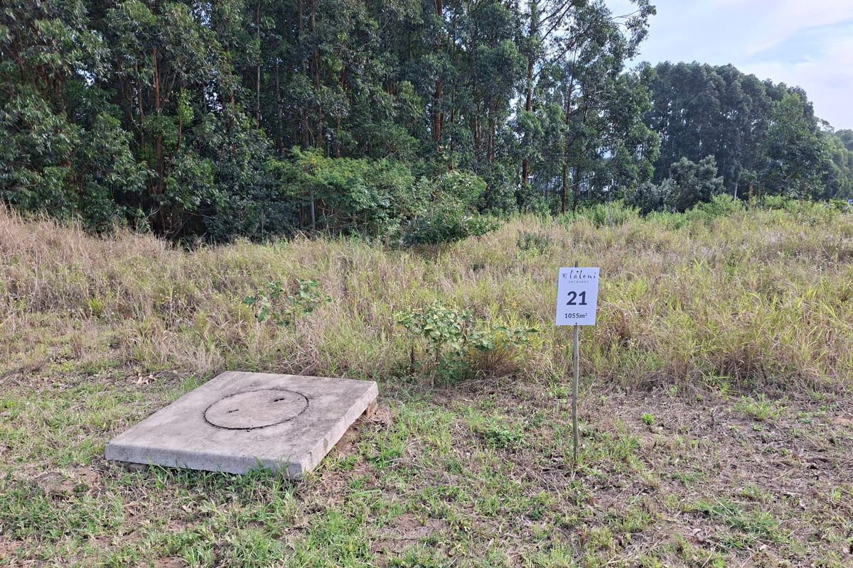 Last Remaining Opportunity in The Orchards at Elaleni Coastal Forest Estate - Photo 2