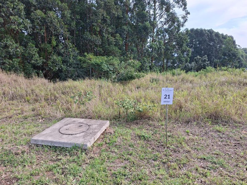 Last Remaining Opportunity in The Orchards at Elaleni Coastal Forest Estate - Photo 2