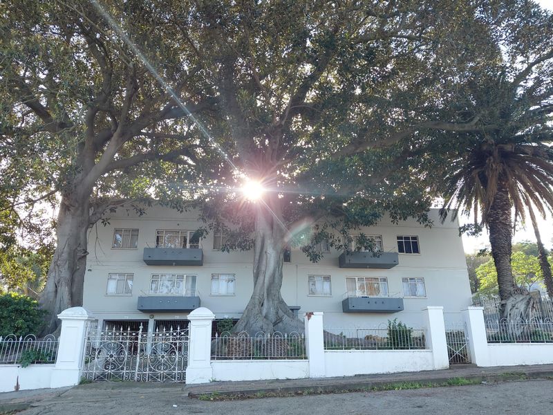 Front elevation of a multi-story townhouse complex featuring mature trees, wrought iron perimeter fencing, and private balconies.