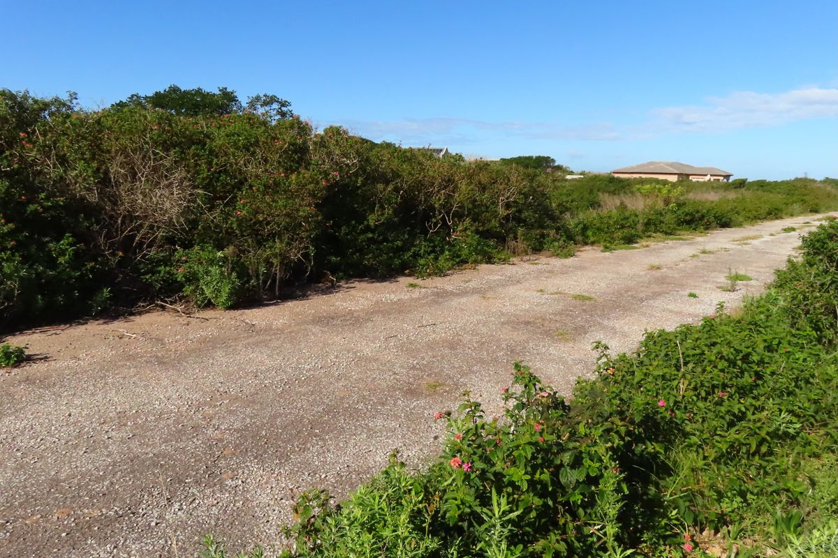 Well Priced Plot For Sale In Port Alfred - Photo 3