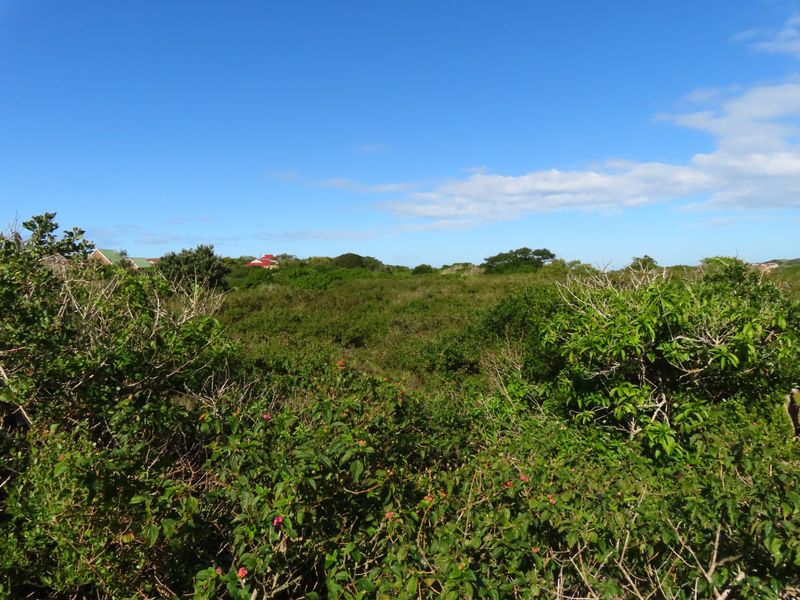Well Priced Plot For Sale In Port Alfred - Photo 10
