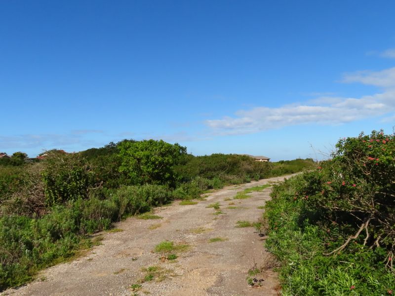 Well Priced Plot For Sale In Port Alfred - Photo 9