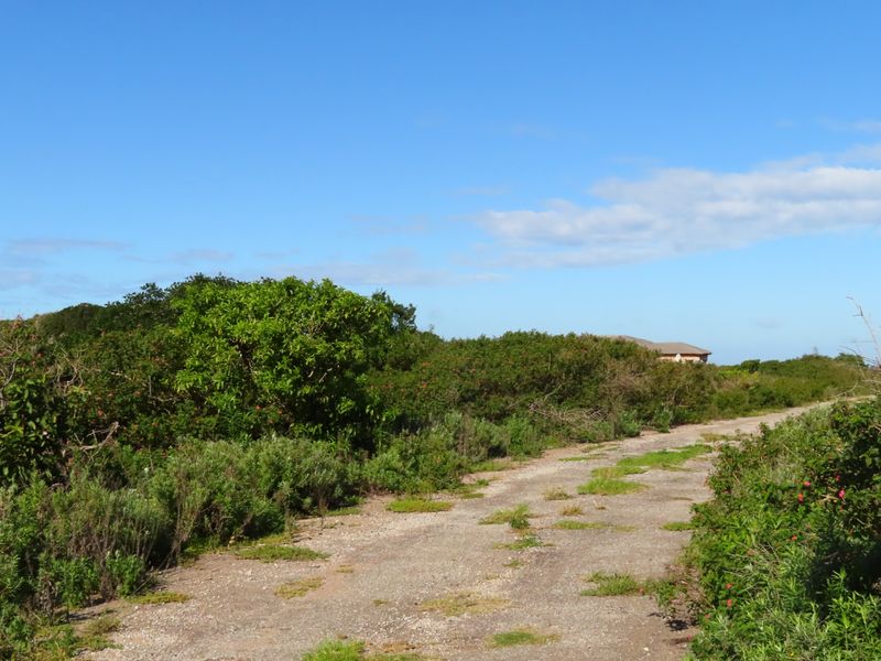 Well Priced Plot For Sale In Port Alfred - Photo 8